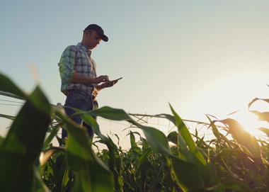 Agricultural