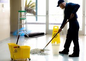 Domestic Services